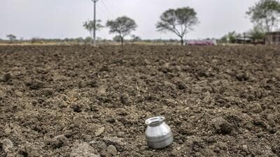Notably, 473,045 farmers have opted for 673,364 interventions, with matching grants totalling ₹3,593.97 crores. (HT PHOTO) Notably, 473,045 farmers have opted for 673,364 interventions, with matching grants totalling ₹3,593.97 crores. (HT PHOTO)