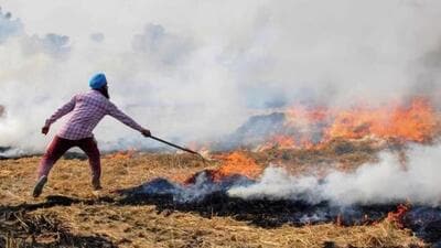 Punjab accounted for 93% of farm fires reported in and around Delhi extending to other states of Uttar Pradesh, Haryana and Rajasthan (Representative Photo) Punjab accounted for 93% of farm fires reported in and around Delhi extending to other states of Uttar Pradesh, Haryana and Rajasthan (Representative Photo)