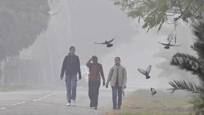 Residents during a walk on a foggy morning in Ludhiana. (Gurpreet Singh/HT)