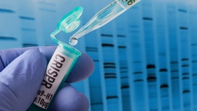 In mid-November, the UK became the first country to approve CRISPR therapy for both sickle-cell disease and beta-thalassaemia (iStock) In mid-November, the UK became the first country to approve CRISPR therapy for both sickle-cell disease and beta-thalassaemia (iStock)