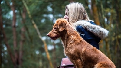 Keep Them Hydrated: Regularly replace your pet's water with room-temperature water every 2-3 hours to prevent them from drinking cold water from their bowl.&nbsp; (Unsplash)