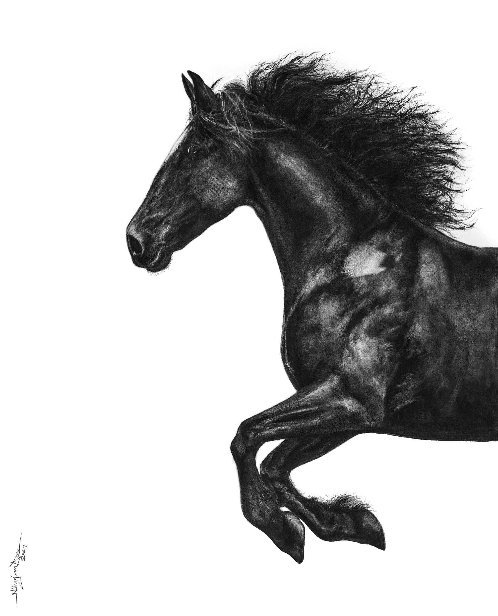 Charcoal paintings by artist Nilanjan Das are on display at this solo exhibition. Charcoal paintings by artist Nilanjan Das are on display at this solo exhibition.