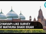 GYANVAPI-LIKE SURVEY AT MATHURA SHAHI IDGAH