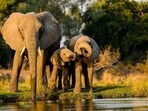 Kenya government will now welcome travel enthusiasts through its digital platform that enables electronic travel authorisation in advance, instead of applying for a visa.