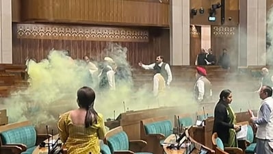 The accused of the Parliament security breach found out in July that shoes were not checked for entry to Parliament. (HT_PRINT) The accused of the Parliament security breach found out in July that shoes were not checked for entry to Parliament. (HT_PRINT)