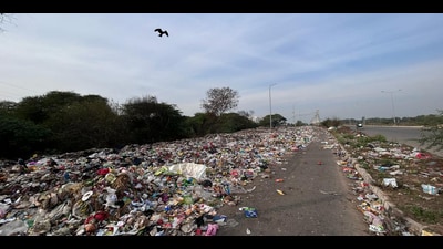 An over 100-metre stretch of the PR 7 slip road going towards Mullanpur, near New Sunny Enclave, has been completely taken over by stinking garbage, leaving little space for vehicles. (HT) An over 100-metre stretch of the PR 7 slip road going towards Mullanpur, near New Sunny Enclave, has been completely taken over by stinking garbage, leaving little space for vehicles. (HT)
