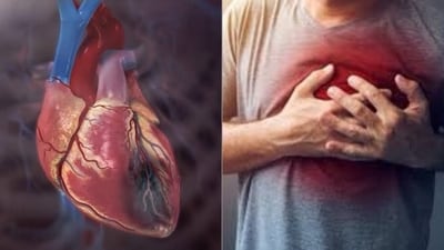 Year ender 2023: Causes behind increasing trend of cardiac arrests in young adults, warning signs to look out for (Photo by Twitter/Eqraaam) Year ender 2023: Causes behind increasing trend of cardiac arrests in young adults, warning signs to look out for (Photo by Twitter/Eqraaam)