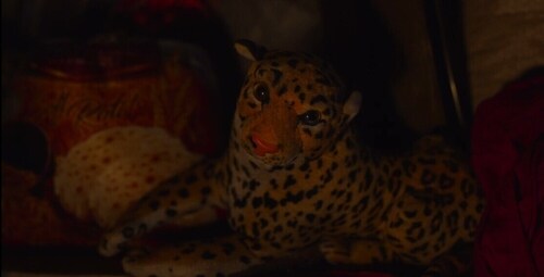 A still from Shera (Arun Fulara)