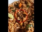 Cockroach inside chicken fried rice ordered via Zomato in Bengaluru. 