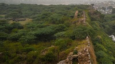 The roads that will connect Chhattarpur’s Gaushala Road to the South Asian University (SAU) road (1.07km) and further, the university to the Central Armed Police Forces Institute of Medical Sciences (CAPFIMS) in Maidangarhi (1.65 km), will pass through 8.7 hectares of forest and non-forest land and involve felling or transplantation of 1,051 trees. (Sanchit Khanna/HT Photo) The roads that will connect Chhattarpur’s Gaushala Road to the South Asian University (SAU) road (1.07km) and further, the university to the Central Armed Police Forces Institute of Medical Sciences (CAPFIMS) in Maidangarhi (1.65 km), will pass through 8.7 hectares of forest and non-forest land and involve felling or transplantation of 1,051 trees. (Sanchit Khanna/HT Photo)