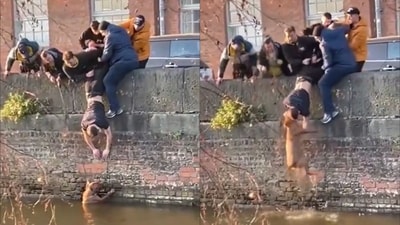 A group of people rescuing a pet dog. (X/@Yoda4ever) A group of people rescuing a pet dog. (X/@Yoda4ever)