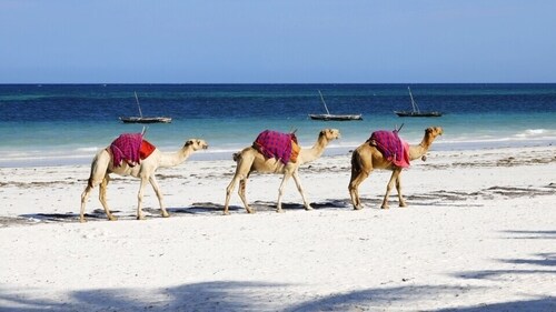 Places you can travel to in 2024. (Freepik) Places you can travel to in 2024. (Freepik)