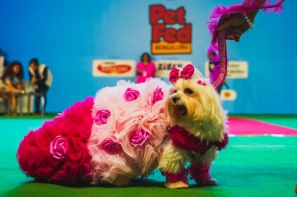 Pet parents, get set to take your furry friends out for an amazing social experience where fashion show, talent showcase and much more awaits. Pet parents, get set to take your furry friends out for an amazing social experience where fashion show, talent showcase and much more awaits.