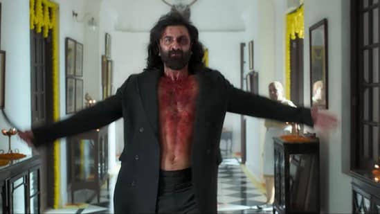 Ranbir Kapoor in a still from Animal.