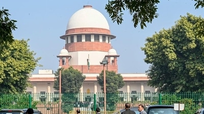 Representative Image (ANI) Representative Image (ANI)
