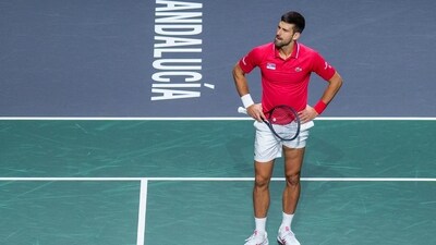 Novak Djokovic reacts during a match. (AP) Novak Djokovic reacts during a match. (AP)