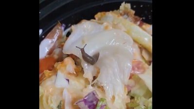 The image shows a snail in a bowl of salad. (X/@Dhavalsingh7) The image shows a snail in a bowl of salad. (X/@Dhavalsingh7)