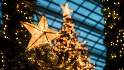 Star: The primary symbolism of a star at Christmas is to honor the Star of Bethlehem, which, according to the Biblical story, guided the three kings, or wise men, to the baby Jesus. (Unsplash) Star: The primary symbolism of a star at Christmas is to honor the Star of Bethlehem, which, according to the Biblical story, guided the three kings, or wise men, to the baby Jesus. (Unsplash)