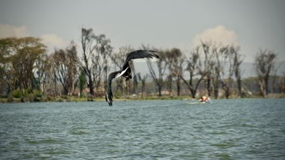 Lake Naivasha: Part of the Great Rift Valley, this destination, not far from Nairobi, Kenya's capital, beckons with boat safaris among incredible wildlife and exceptional lodges. (Unsplash) Lake Naivasha: Part of the Great Rift Valley, this destination, not far from Nairobi, Kenya's capital, beckons with boat safaris among incredible wildlife and exceptional lodges. (Unsplash)