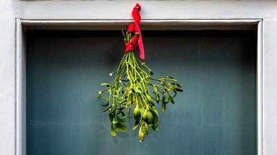 Mistletoe: This ornament, hung on doors, symbolizes the purification of the home and is believed to hold mystical powers that bring good luck and ward off evil spirits. Additionally, a tradition suggests that lovers should kiss under the mistletoe for eternal love. (Unsplash) Mistletoe: This ornament, hung on doors, symbolizes the purification of the home and is believed to hold mystical powers that bring good luck and ward off evil spirits. Additionally, a tradition suggests that lovers should kiss under the mistletoe for eternal love. (Unsplash)