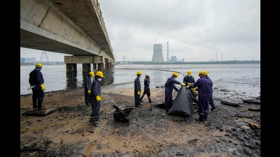 Officials take sample after an oil spill in the Bay of Bengal off the Ennore Creek area in the aftermath of Cyclone Michaung in Chennai on Friday. (PTI)