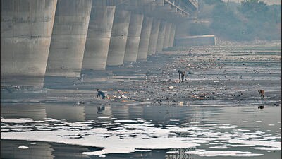 The latest data showed that only one of the seven spots met the biological oxygen demand. (HT photo) The latest data showed that only one of the seven spots met the biological oxygen demand. (HT photo)