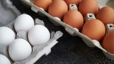 The price Russians pay for eggs has surged amid reports of shortages in some regions. (Unsplash) The price Russians pay for eggs has surged amid reports of shortages in some regions. (Unsplash)