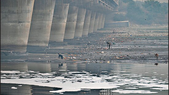 The latest data showed that only one of the seven spots met the biological oxygen demand. (HT photo)
