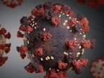 The JN.1 variant of BA.2.86, which was first detected by the US Centers for Disease Control and Prevention (CDC) in September 2023. (Representational Image)