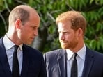 Princes William and Prince Harry are seen. 