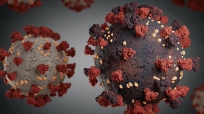 The JN.1 variant of BA.2.86, which was first detected by the US Centers for Disease Control and Prevention (CDC) in September 2023. (Representational Image) The JN.1 variant of BA.2.86, which was first detected by the US Centers for Disease Control and Prevention (CDC) in September 2023. (Representational Image)