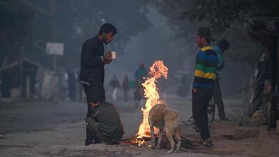 People (and a street dog) huddle around a bonfire on a cold Monday morning at Chilla village. (Raj K Raj/HT photo) People (and a street dog) huddle around a bonfire on a cold Monday morning at Chilla village. (Raj K Raj/HT photo)
