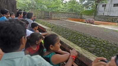 All enclosures in the zoo are cleaned on Mondays, when the zoo is closed for visitors. (File) (Photo by Pratik Chorge/ Hindustan Times) (Pratik Chorge/HT PHOTO)