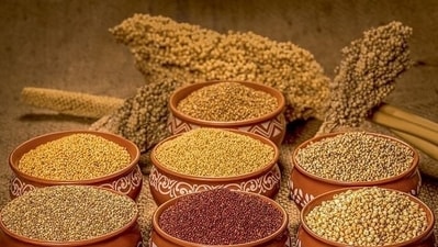 The year 2023 has indeed been special for millets as The United Nations General Assembly at its 75th session in March 2021 declared it the International Year of Millets (IYM 2023). (Pinterest) The year 2023 has indeed been special for millets as The United Nations General Assembly at its 75th session in March 2021 declared it the International Year of Millets (IYM 2023). (Pinterest)