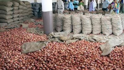 Farmers in Nashik district are angry as onion rates continue to fall to an extent where not even the basic cost can be recovered. ((PIC FOR REPRESENTATION)) Farmers in Nashik district are angry as onion rates continue to fall to an extent where not even the basic cost can be recovered. ((PIC FOR REPRESENTATION))