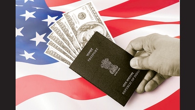 Over three months, beginning in December, the state department will be issuing 20,000 visas to foreign nationals who are already inside the country. (Shutterstock) Over three months, beginning in December, the state department will be issuing 20,000 visas to foreign nationals who are already inside the country. (Shutterstock)