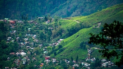 Bagdogra: Nestled in the Eastern Himalayas, Bagdogra is emerging as a winter retreat. Explore enchanting tea gardens and scenic landscapes, creating a serene ambience for winter wanderers. (Unsplash) Bagdogra: Nestled in the Eastern Himalayas, Bagdogra is emerging as a winter retreat. Explore enchanting tea gardens and scenic landscapes, creating a serene ambience for winter wanderers. (Unsplash)