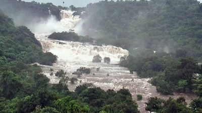 Manimuthar waterfall overflows due to incessant heavy rainfall in Tirunelveli District of Tamil Nadu on Monday. (ANI Photo) Manimuthar waterfall overflows due to incessant heavy rainfall in Tirunelveli District of Tamil Nadu on Monday. (ANI Photo)