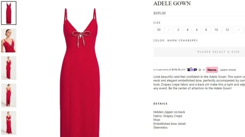 The price of the dress Triptii Dimri wore for the event. (cinqasept.nyc)