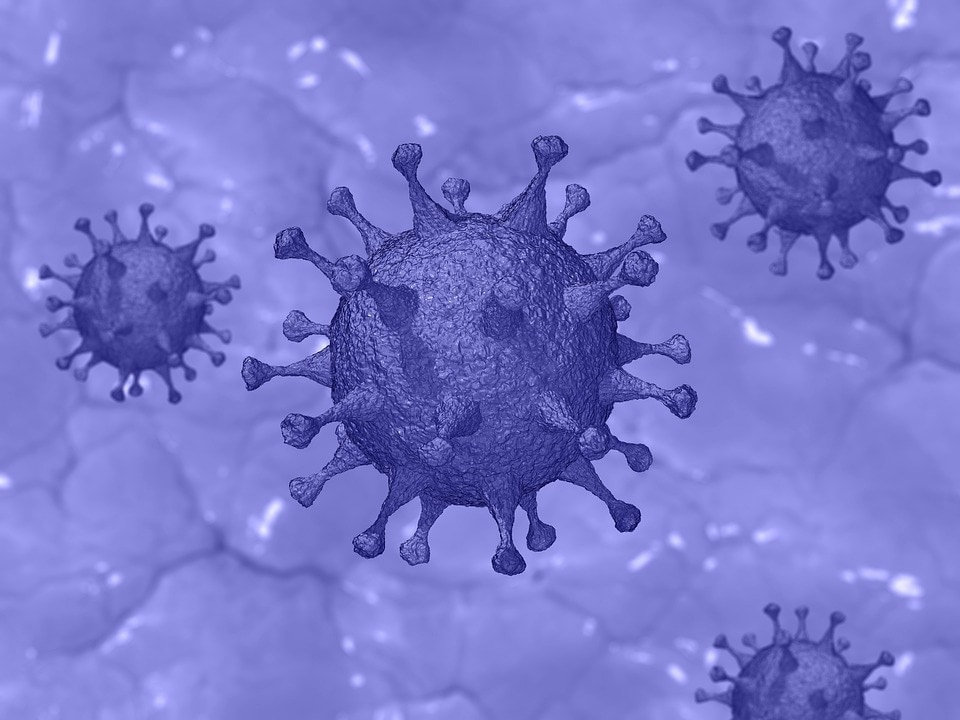 While it's not clear if JN.1 variant is a cause of worry yet, India, has witnessed a spike in infection numbers (Pixabay) While it's not clear if JN.1 variant is a cause of worry yet, India, has witnessed a spike in infection numbers (Pixabay)