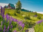 hill_stations_in_india