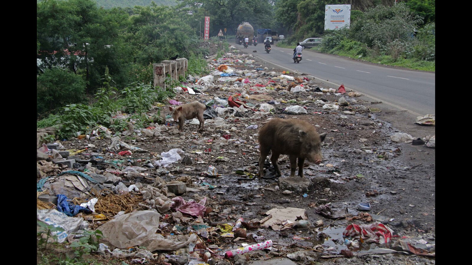 PMC solid waste dept to start night surveillance - Vimarsana News
