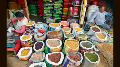 As supply is less and demand is more, it is natural for prices to increase. Garlic prices are high not only in Pune but all over India. (REPRESENTATIVE PIC) As supply is less and demand is more, it is natural for prices to increase. Garlic prices are high not only in Pune but all over India. (REPRESENTATIVE PIC)
