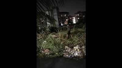 Police sources said that a video of the attack has also gone viral on social media. Police sources said that a video of the attack has also gone viral on social media.