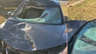 A drunk car driver in Texas in the United States, allegedly hit a pedestrian and the legless body of the victim flew up into the air and landed into the passenger seat of the vehicle. (White Settlement Police) A drunk car driver in Texas in the United States, allegedly hit a pedestrian and the legless body of the victim flew up into the air and landed into the passenger seat of the vehicle. (White Settlement Police)