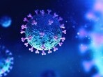 Two people from Karnataka reportedly died after getting infected with Covid-19 on Wednesday Two people from Karnataka reportedly died after getting infected with Covid-19 on Wednesday