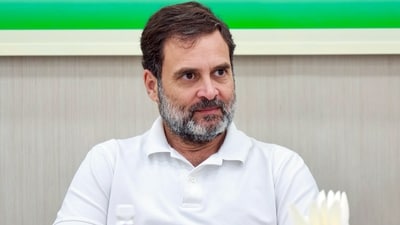 Congress leader Rahul Gandhi (ANI) Congress leader Rahul Gandhi (ANI)