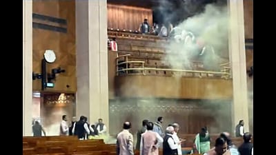 Manoranjan and Sagar Sharma jumped from the visitor's gallery of the Lok Sabha and released coloured smoke from canisters, causing chaos in the House during the winter session. (ANI) Manoranjan and Sagar Sharma jumped from the visitor's gallery of the Lok Sabha and released coloured smoke from canisters, causing chaos in the House during the winter session. (ANI)