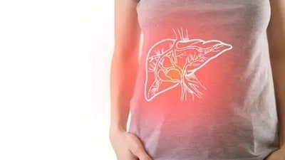 It is important to detox the liver, because an overburdened liver cannot efficiently regulate the hormones of the body. (Unsplash) It is important to detox the liver, because an overburdened liver cannot efficiently regulate the hormones of the body. (Unsplash)