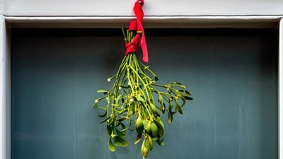 8. The custom of kissing underneath mistletoe reportedly began in the Victorian era when people believed it lead to marriage and promoted fertility. (Unsplash) 8. The custom of kissing underneath mistletoe reportedly began in the Victorian era when people believed it lead to marriage and promoted fertility. (Unsplash)